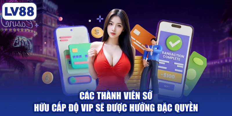 Các thành viên sở hữu cấp độ VIP sẽ được hưởng đặc quyền