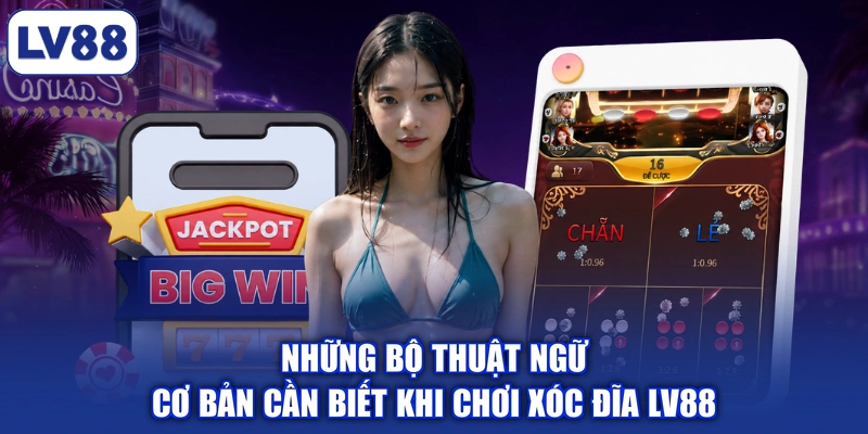 Những bộ thuật ngữ cơ bản cần biết khi chơi xóc đĩa LV88
