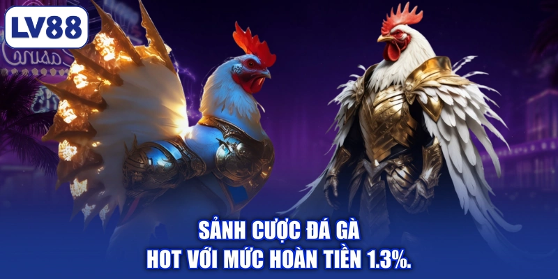Sảnh cược đá gà HOT với mức hoàn tiền 1.3%.