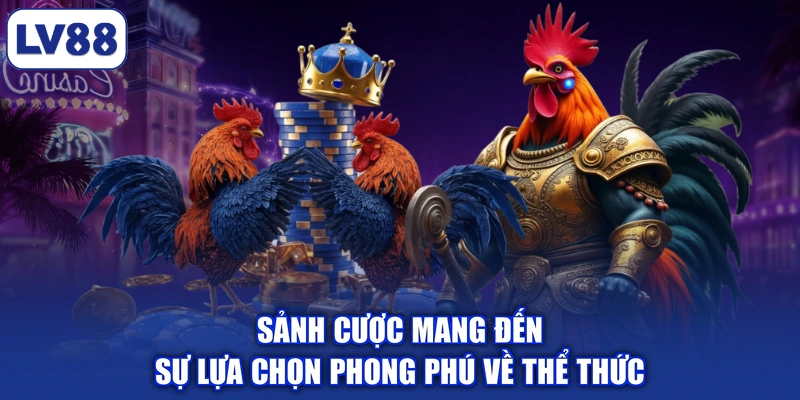 Sảnh cược mang đến sự lựa chọn phong phú về thể thức