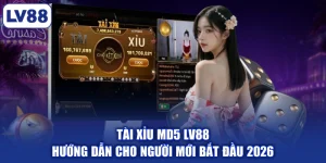 Tài Xỉu Md5 LV88 | Hướng Dẫn Cho Người Mới Bắt Đầu 2026