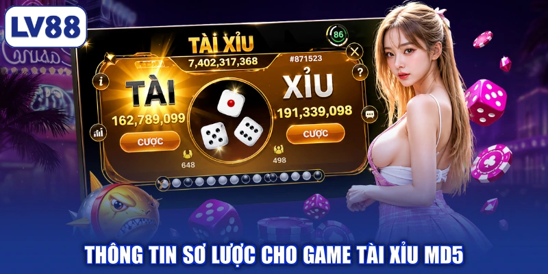Thông tin sơ lược cho game tài xỉu Md5